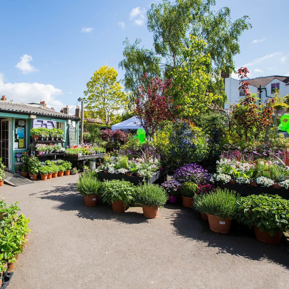 Garden Centre and Florist Guide Monroe Estate Agents